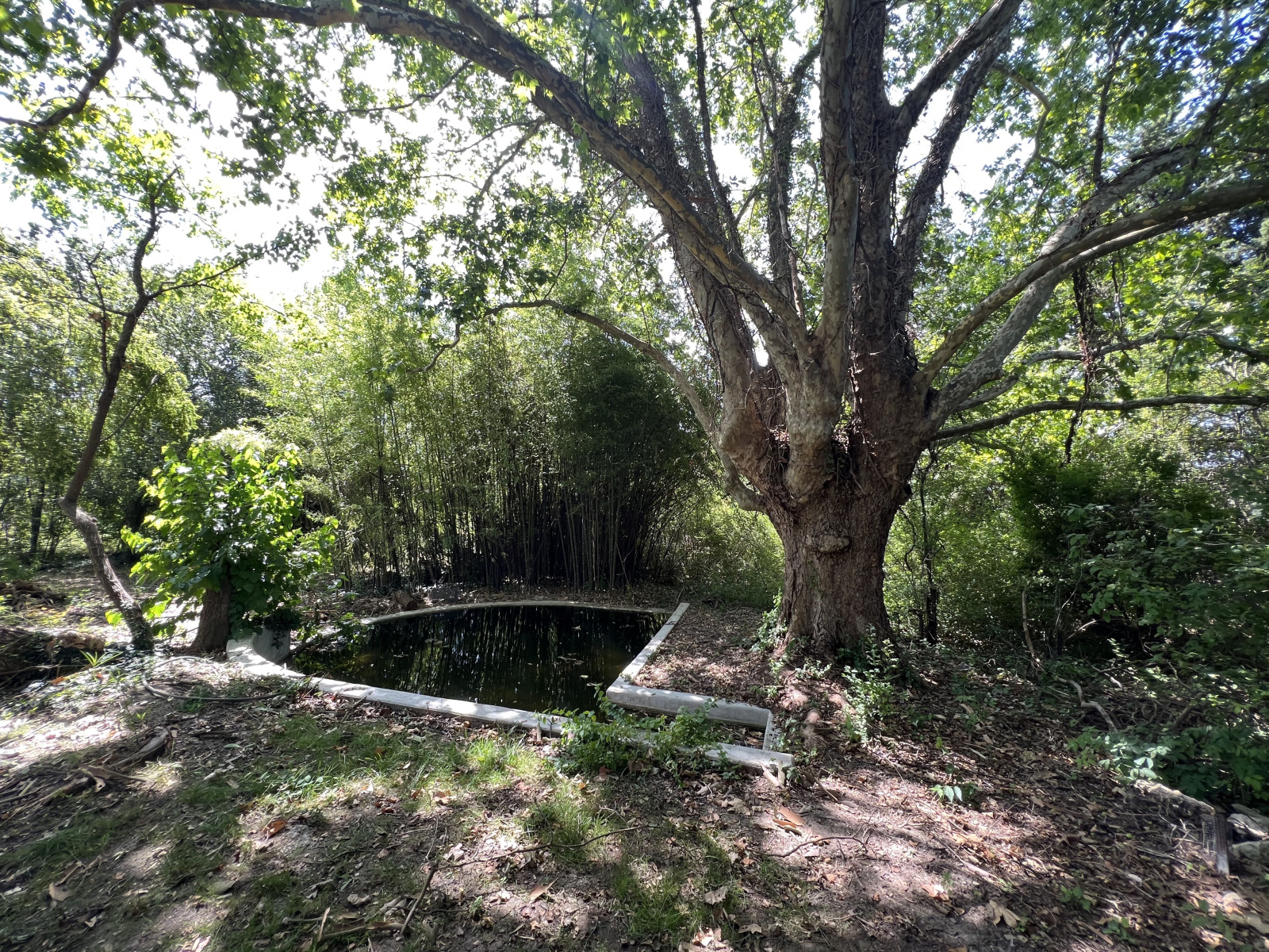 Image_, Maison, Gargas, ref :027072023